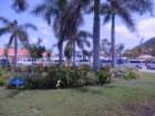 canimg_6278_small.jpg
