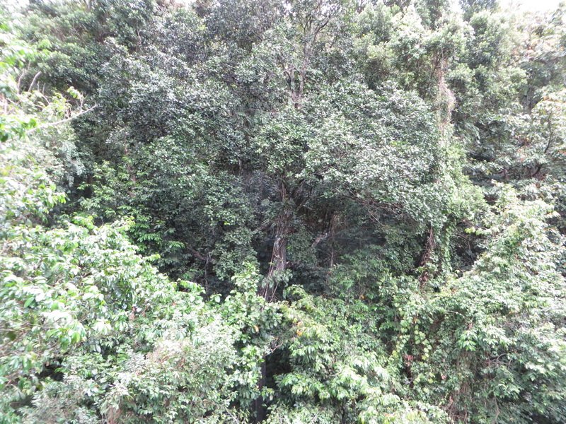 canimg_6890.jpg