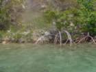 fujdscf0480_small.jpg