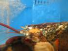 visitimg_7994_small.jpg