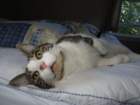 visitimg_8075_small.jpg