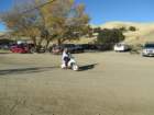 carnegieimg_9104_small.jpg