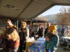 carnegieimg_9147_small.jpg