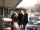 carnegieimg_9152_small.jpg