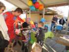 carnegieimg_9161_small.jpg