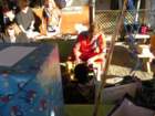 carnegieimg_9173_small.jpg