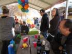 carnegieimg_9177_small.jpg