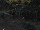 visitimg_8951_small.jpg