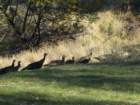 visitimg_9066_small.jpg