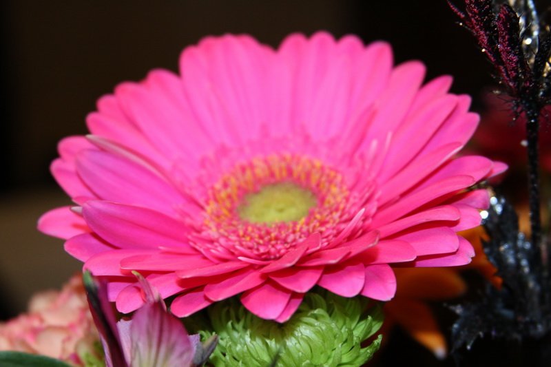 visitimg_2799.jpg