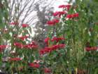 visitimg_9604_small.jpg