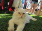 scottsimg_0596_small.jpg