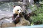 img_8488_small.jpg