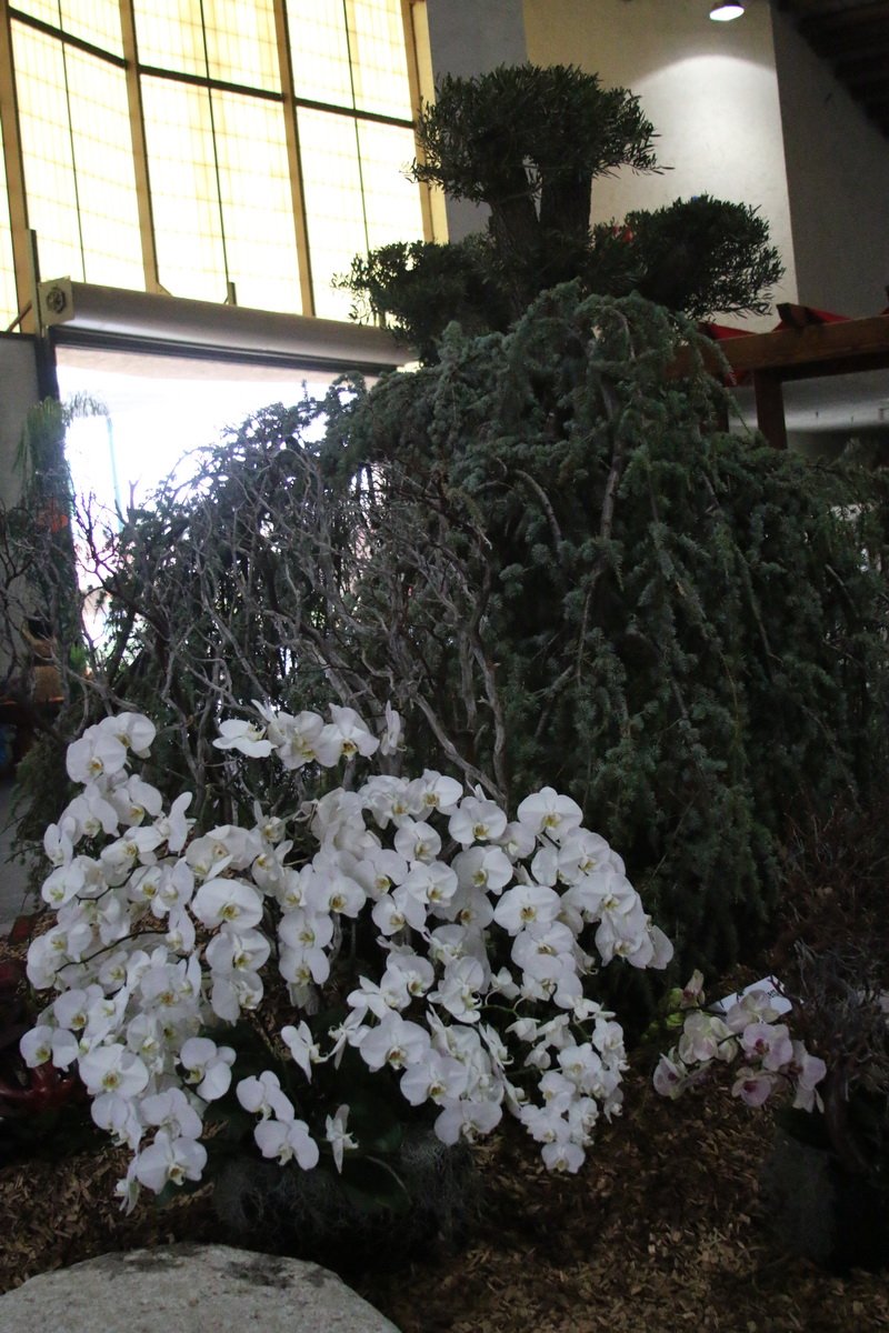 img_8662.jpg