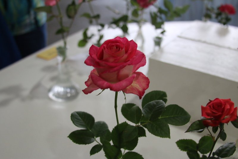 img_8665.jpg