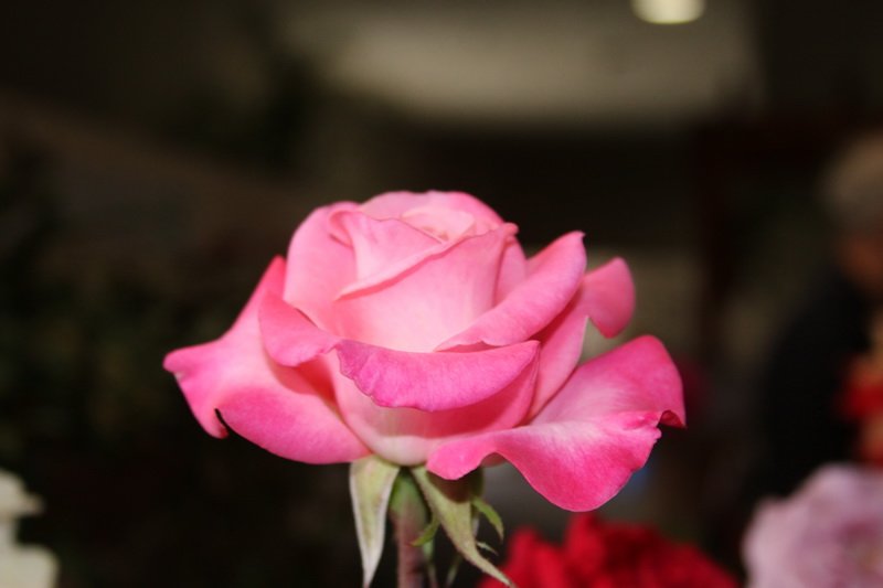 img_8693.jpg