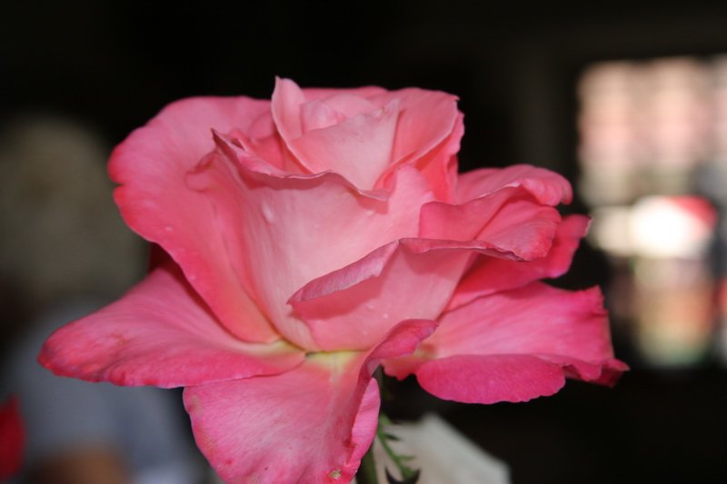 img_8701.jpg