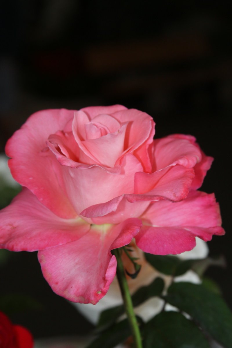 img_8702.jpg