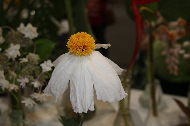 img_8719.jpg
