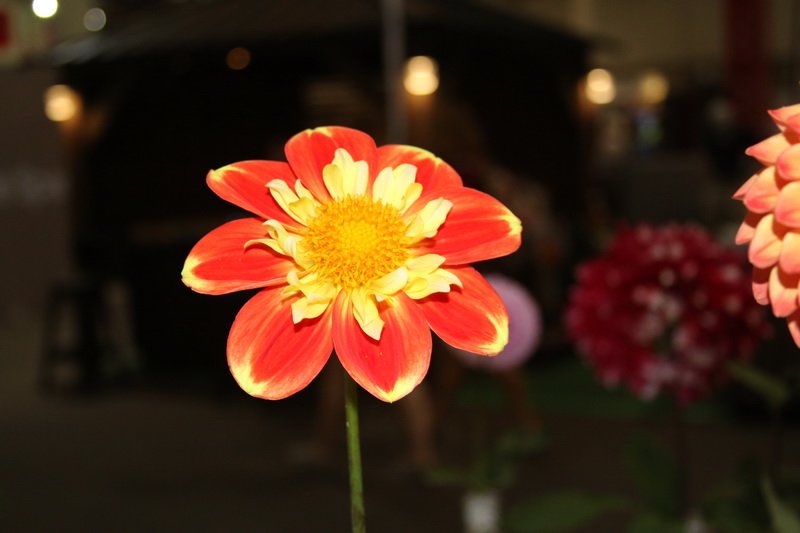 img_8748.jpg
