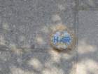 cbwed31amsimg_4482_small.jpg