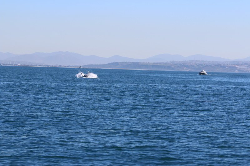 cbimg_9727.jpg
