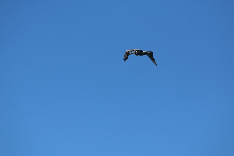 cbimg_9814.jpg