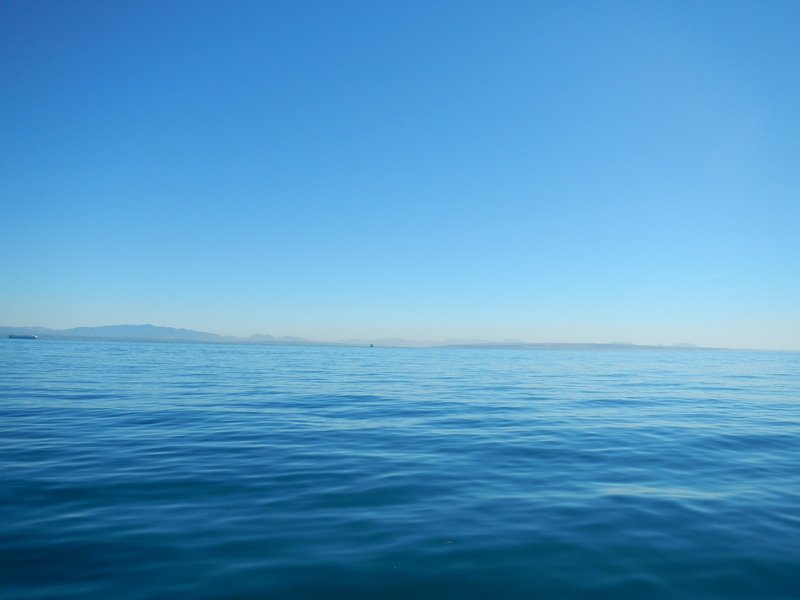 dscn8228.jpg
