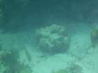 fri05cbfudscf1379_small.jpg