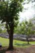 fri05cbimg_6506_small.jpg