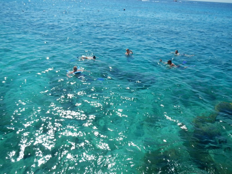 sun07tjlcdscn8854.jpg