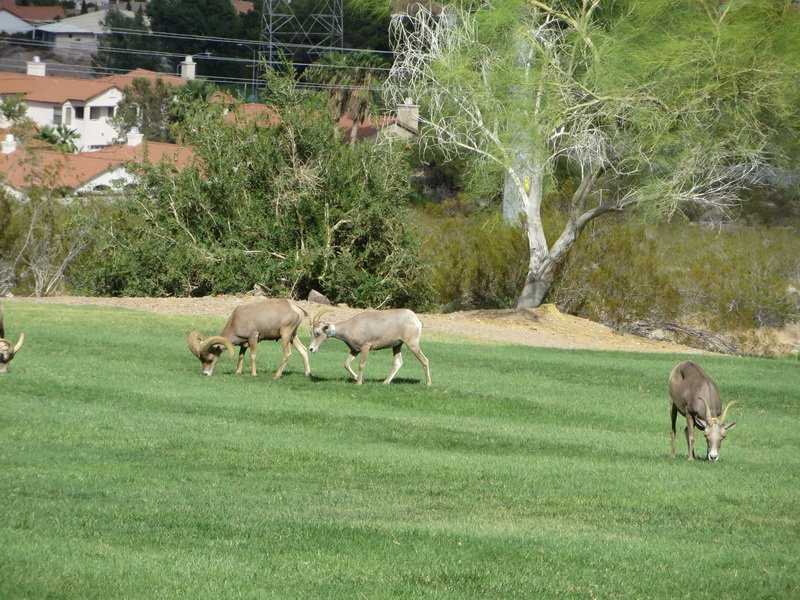 img_7158.jpg
