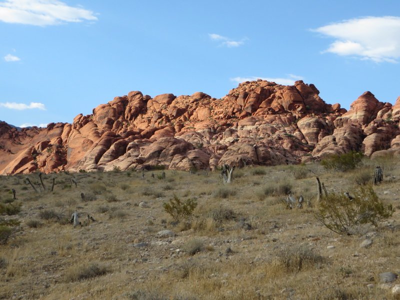 img_7233.jpg
