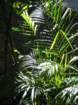 sat019cbsximg_8042_small.jpg