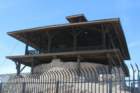 yumaimg_4152_small.jpg