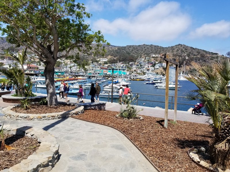 catalina20180528_110918.jpg