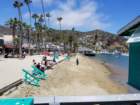 catalina20180528_111749_small.jpg