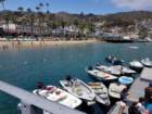 catalina20180528_114059_small.jpg