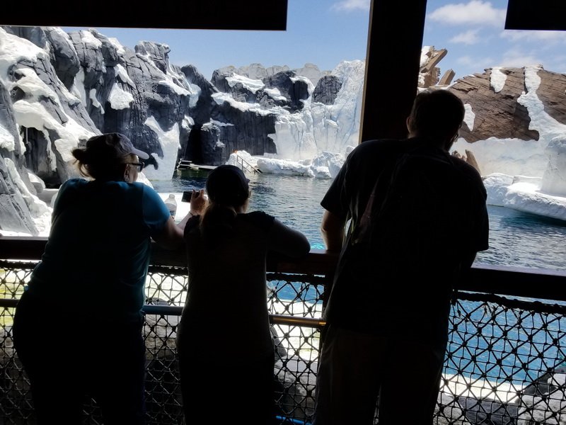 seaworld20180624_132326.jpg