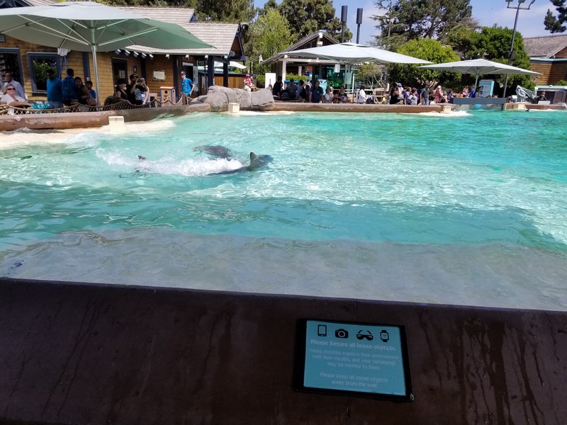 seaworld20180624_143851.jpg