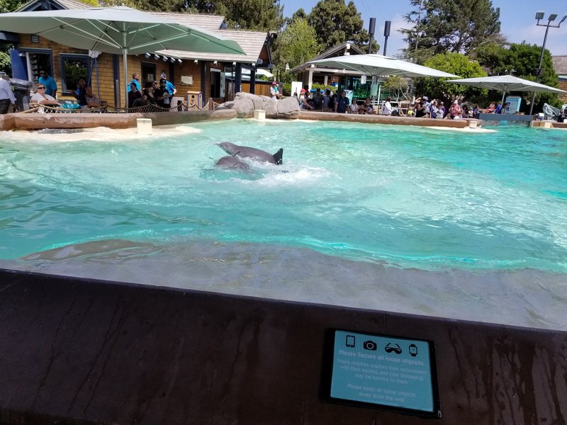 seaworld20180624_143852.jpg