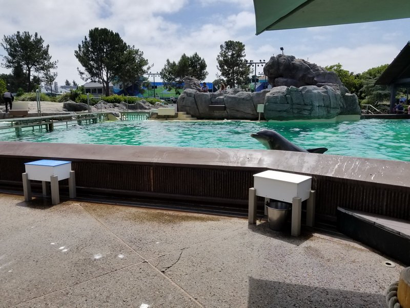 seaworld20180624_144043.jpg