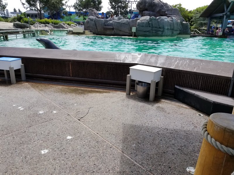 seaworld20180624_144058.jpg