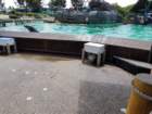 seaworld20180624_144058_small.jpg