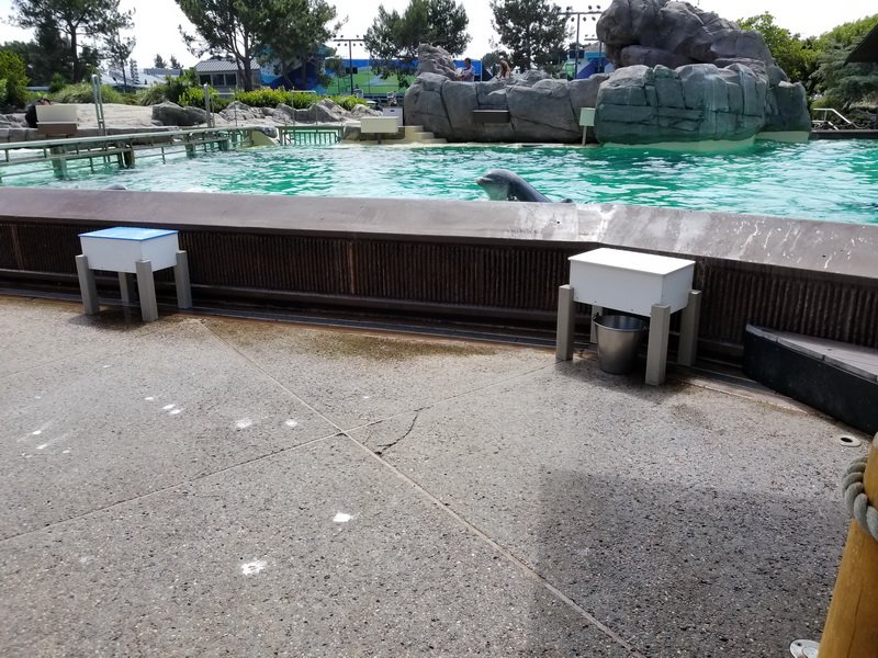 seaworld20180624_144100.jpg