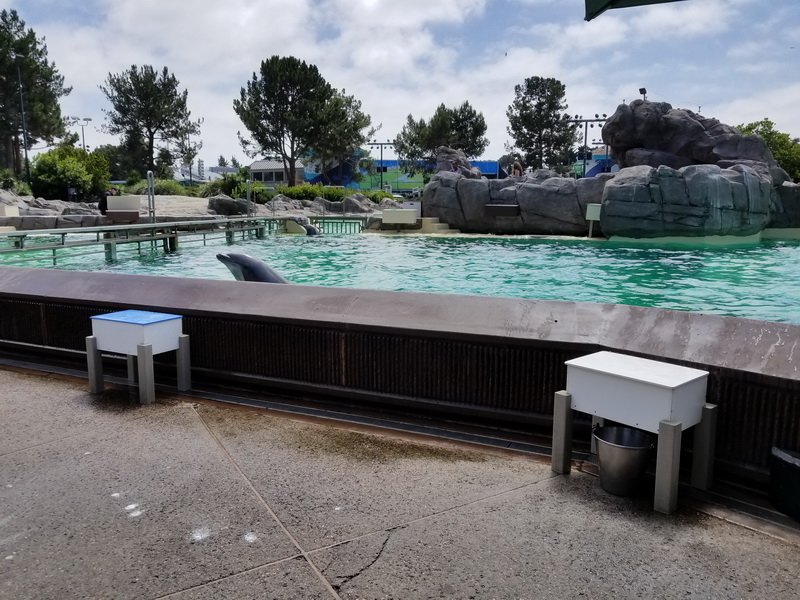 seaworld20180624_144113.jpg