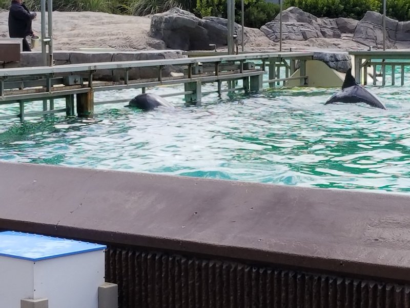 seaworld20180624_144209.jpg