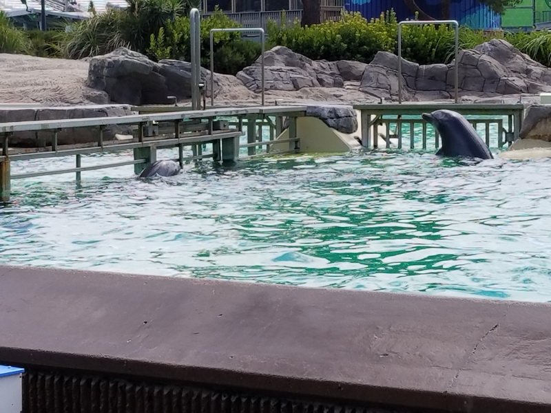 seaworld20180624_144215.jpg