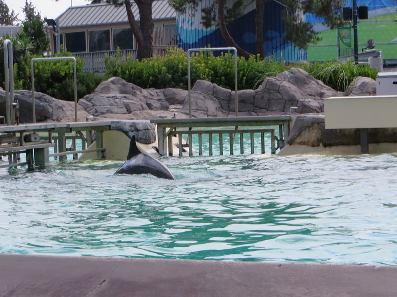 seaworldimg_9458.jpg