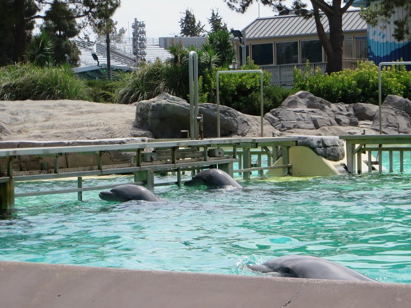 seaworldimg_9462.jpg